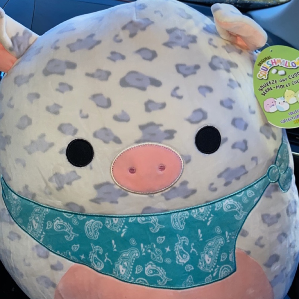 rosie squishmallow